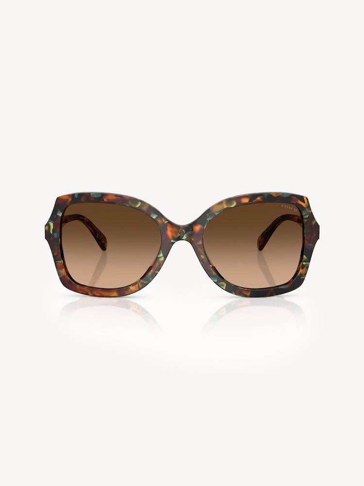 COACH Green Butterfly Sunglasses - Image 1 of 5