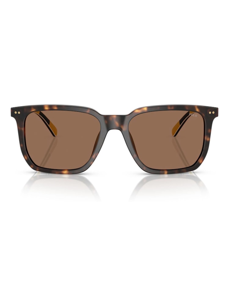 Polo Ralph Lauren Brown Ph4224U Rectangle Sunglasses - Image 1 of 5 Polo Ralph Lauren Brown Ph4224U Rectangle Sunglasses - Image 1 of 5