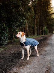 Danish Designs Navy Quilted Dog Coat - Image 1 of 5