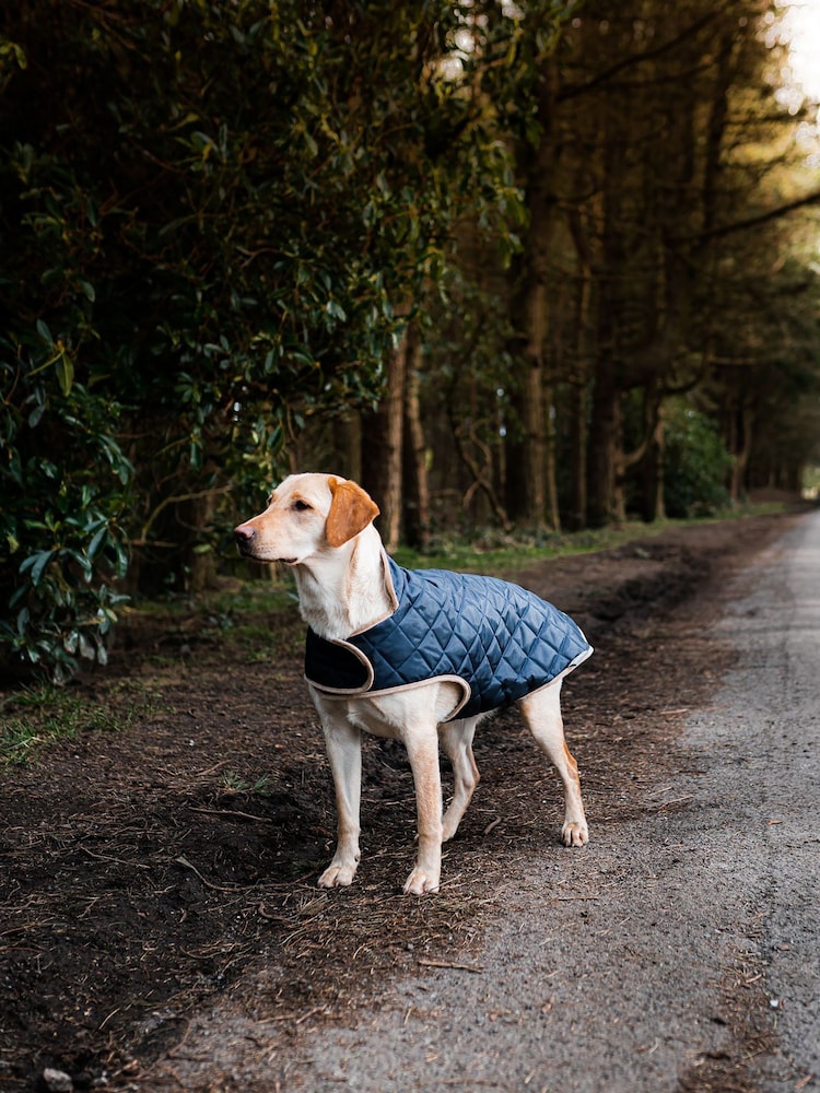 Danish Designs Navy Quilted Dog Coat - Image 1 of 5
