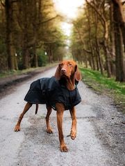 Danish Designs Black Harness 2 in 1 Ultimate Dog Coat - Image 1 of 5