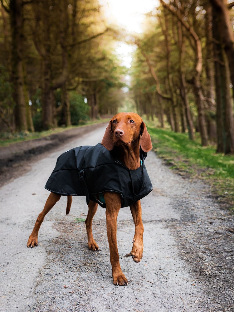 Danish Designs Black Harness 2 in 1 Ultimate Dog Coat - Image 1 of 5