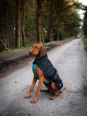Danish Designs Black Harness Dog Coat - Image 1 of 5