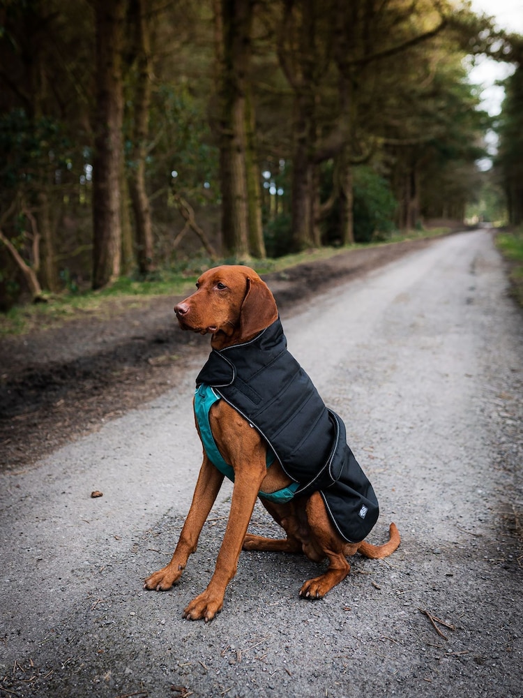 Danish Designs Black Harness Dog Coat - Image 1 of 5