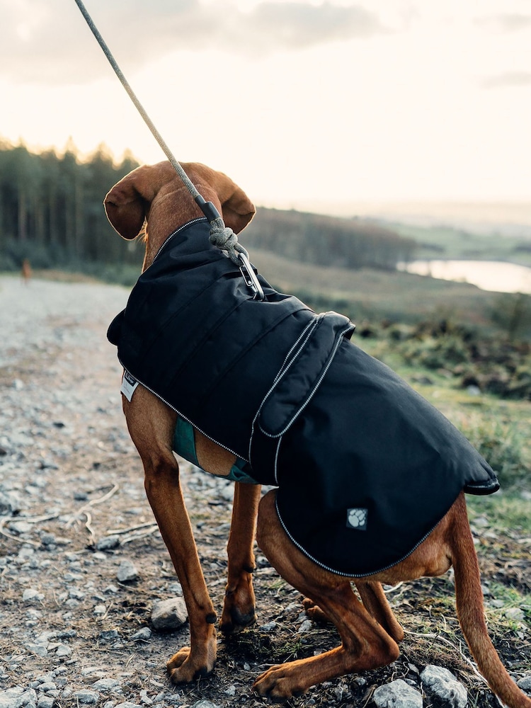 Danish Designs Black Harness Dog Coat - Image 2 of 5