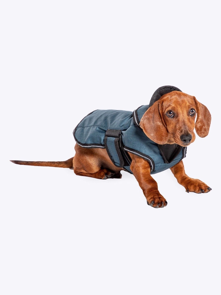 Danish Designs Blue Harness 2 in 1 Ultimate Dog Coat - Image 1 of 5