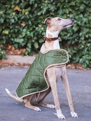 Danish Designs Forest Green Quilted Dog Coat - Image 1 of 5
