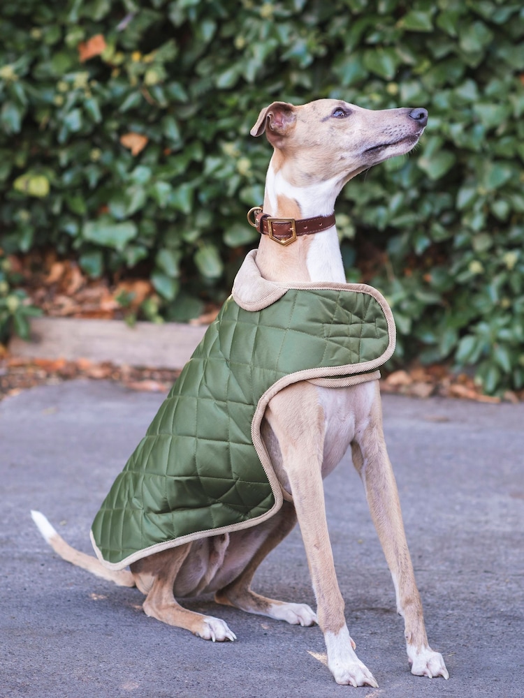 Danish Designs Forest Green Quilted Dog Coat - Image 1 of 5