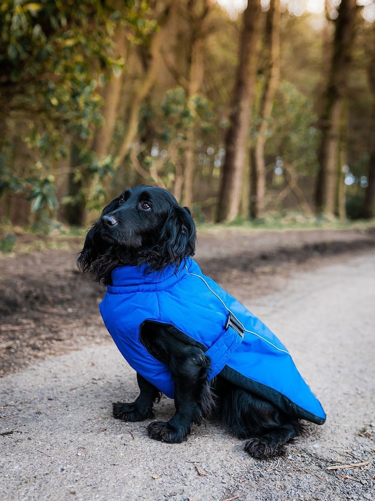 Danish Designs Blue Sports Luxe Dog Coat - Image 1 of 5