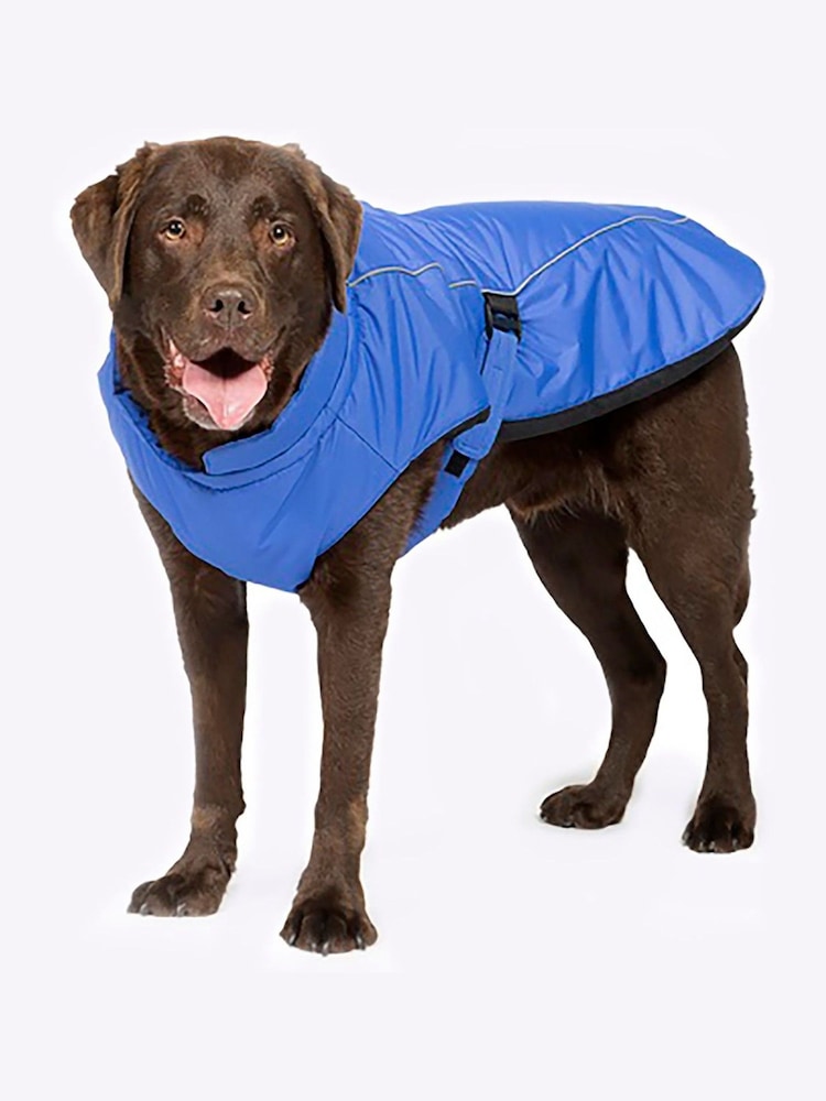 Danish Designs Blue Sports Luxe Dog Coat - Image 5 of 5