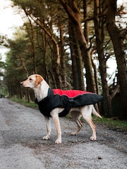 Danish Designs Red Sports Luxe Dog Coat - Image 1 of 5