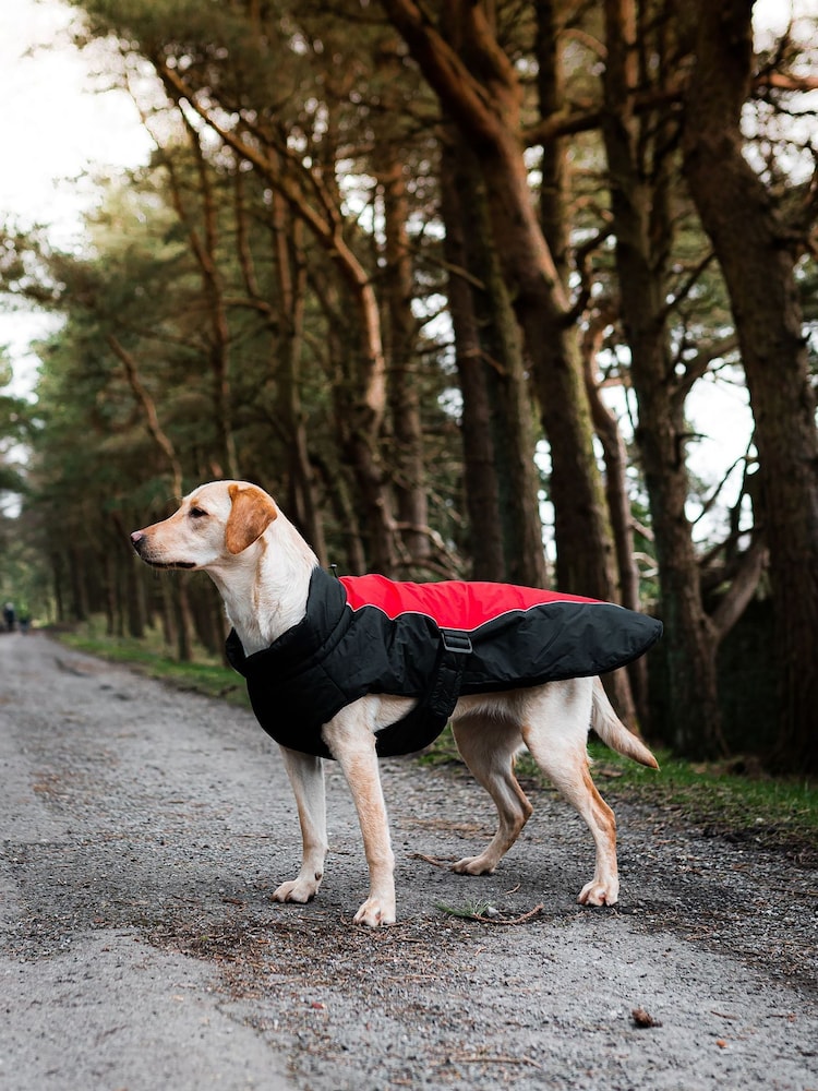 Danish Designs Red Sports Luxe Dog Coat - Image 1 of 5