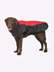 Danish Designs Red Sports Luxe Dog Coat - Image 5 of 5