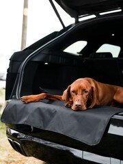 Danish Designs Black Boot Bed - Image 2 of 5