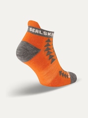 Sealskinz Wissington Merino Anklet Running Socks - Image 2 of 2