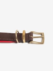 Lords And Labradors Hundehalsband aus italienischem Leder - Bild 7 von 8