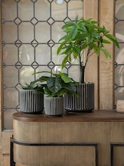 Libra Interiors Set of 3 Black Medini Reactive Glaze Ceramic Planter - Image 1 of 6