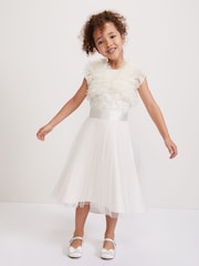 Phase Eight Pink Yasmine Tulle Cover-Up - Image 1 of 6