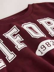 Burgundy Red Varsity Sweatshirt And Animal Print Wide Leg Trousers Set (3-16yrs) - Image 9 of 9