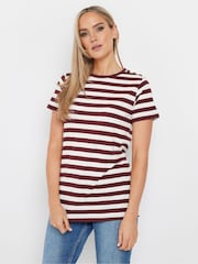 Long Tall Sally Brown Stripe Button Shoulder 100% Cotton T-Shirt - Image 1 of 5