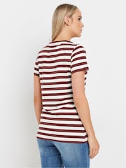 Long Tall Sally Brown Stripe Button Shoulder 100% Cotton T-Shirt - Image 3 of 5