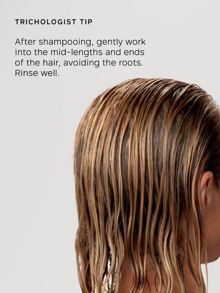 Philip Kingsley Body Building Conditioner - Image 2 of 5