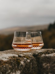 Набор из 2 бокалов для виски телесного цвета Paris Old Fashioned - Изображение 1 из 7