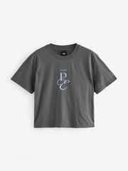 P.E Nation Grey South Bank T-Shirt - Image 1 of 1