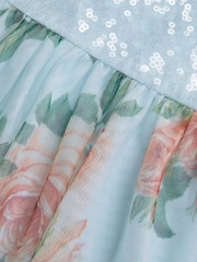 Monsoon Blue Truth Sequin Floral Print Tulle Dress - Image 4 of 4