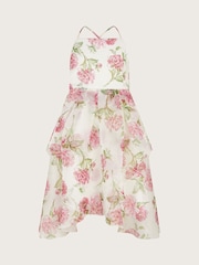 Monsoon Natural Strappy Peony Print Organza Dress - Image 1 of 3