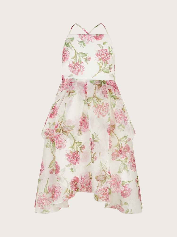 Monsoon Natural Strappy Peony Print Organza Dress - Image 1 of 3