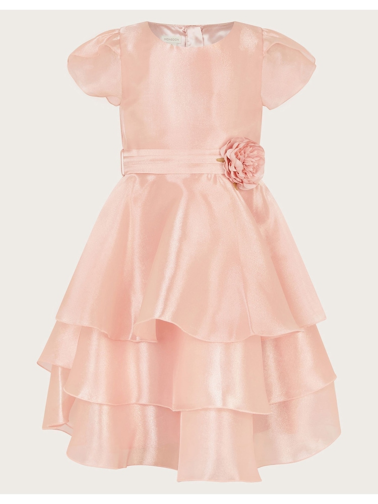 Monsoon Pink Olena Organza Ruffle Dress - Image 1 of 3