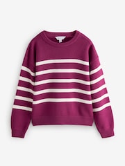 Plum Purple Stripe Full Sleeve Jumper - Image 1 of 1