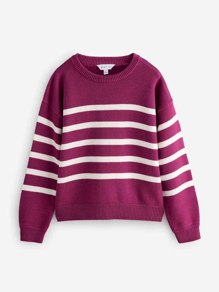Plum Purple Stripe Full Sleeve Jumper - Image 1 of 1