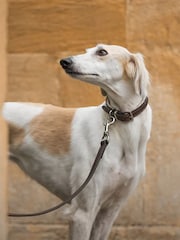 Lords and Labradors Brown Cream Italian Leather Dog Lead - Image 2 of 3