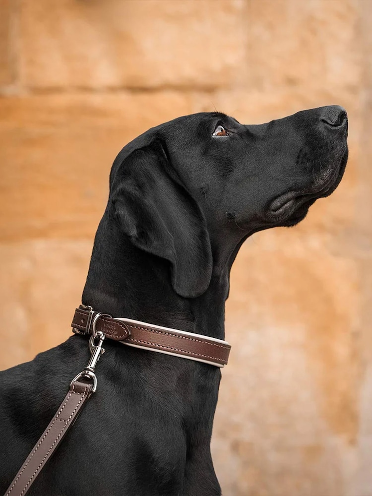 Lords and Labradors Brown Cream Italian Leather Dog Lead - Image 3 of 3