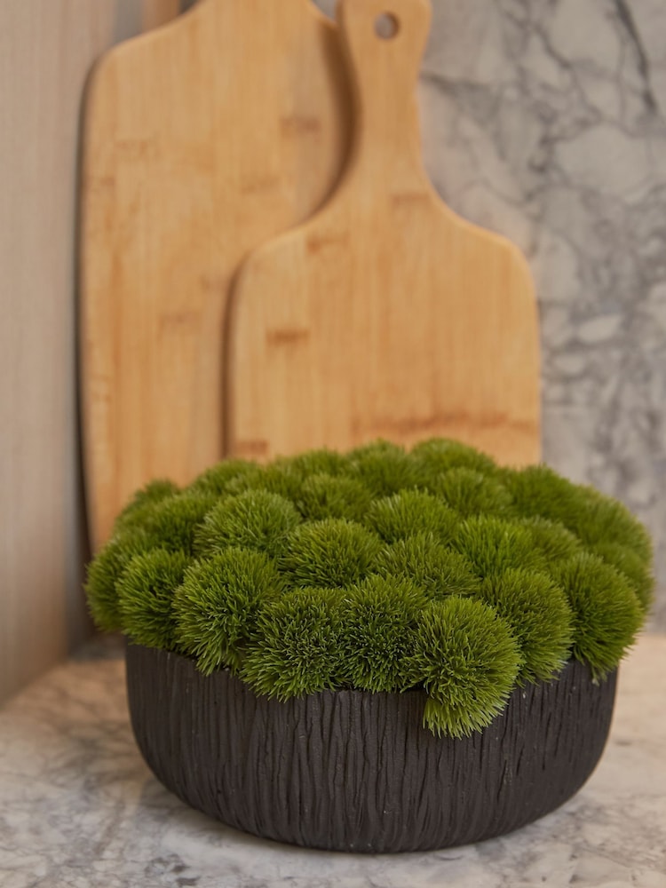 Sixty3 Styled Brown Terra Vase - Image 1 of 5 Sixty3 Styled Brown Terra Vase - Image 1 of 5