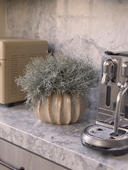 Sixty3 Styled Natural Lydia Pot - Image 1 of 7