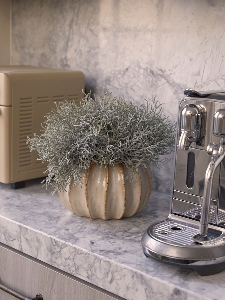 Sixty3 Styled Natural Lydia Pot - Image 1 of 7