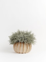 Sixty3 Styled Natural Lydia Pot - Image 3 of 7