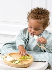 Bibado Mist Bamboo Viscose Divider Plate - Dino Roar - Image 2 of 6