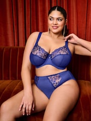 Elomi Blue Zarla High Leg Briefs - Image 1 of 7