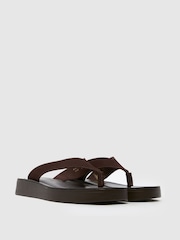 Коричневый - Schuh Tanisha Toe Post черный сандалии - Image 2 of 4