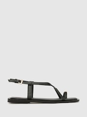 Schuh Taran Metal Toeloop Black Sandals - Image 1 of 4