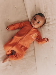 Rust Brown Baby Little Pumpkin Two Way Zip Sleepsuit (0mths-3yrs) - Image 1 of 12
