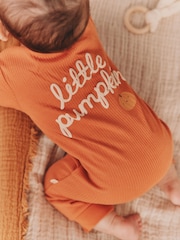 Rust Brown Baby Little Pumpkin Two Way Zip Sleepsuit (0mths-3yrs) - Image 3 of 12