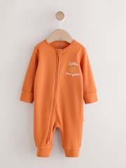 Rust Brown Baby Little Pumpkin Two Way Zip Sleepsuit (0mths-3yrs) - Image 5 of 12