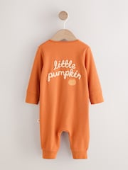 Rust Brown Baby Little Pumpkin Two Way Zip Sleepsuit (0mths-3yrs) - Image 6 of 12