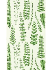 Scion Juniper Garden of Eden Ferns Wallpaper Sample - Image 1 of 1