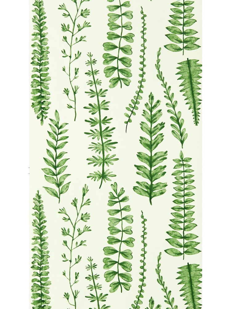 Scion Juniper Garden of Eden Ferns Wallpaper Sample - Image 1 of 1